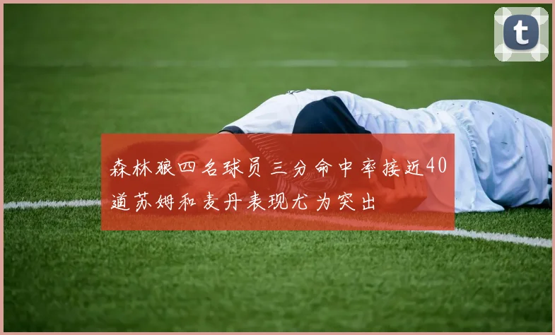 森林狼四名球员三分命中率接近40道苏姆和麦丹表现尤为突出